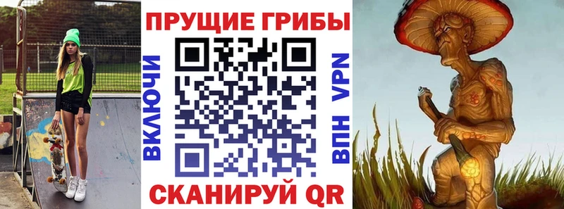 omg tor  Белая Калитва  Псилоцибиновые грибы ЛСД  цена  