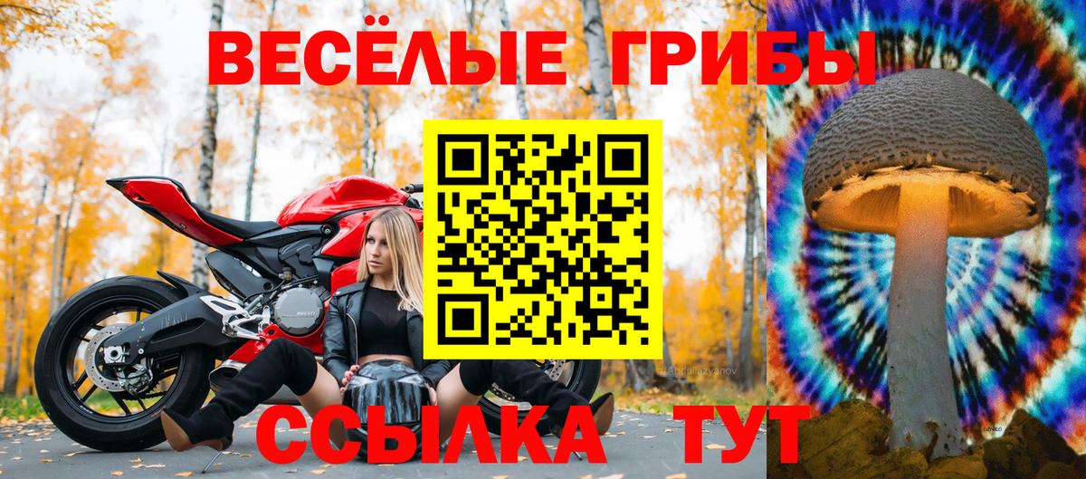Псилоцибиновые грибы Psilocybine cubensis  даркнет сайт  Белая Калитва  Псилоцибиновые грибы Cubensis  Вход с VPN 