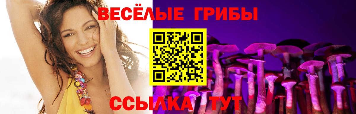 Псилоцибиновые грибы Psilocybe Белая Калитва